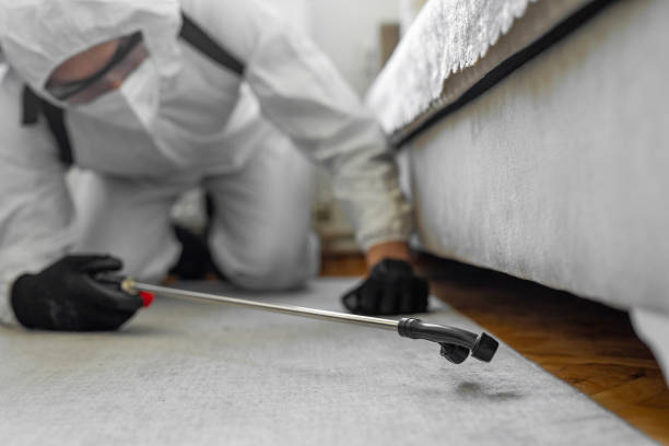 Professional Bed Bug Control technician working in Wolverine Lake, MI